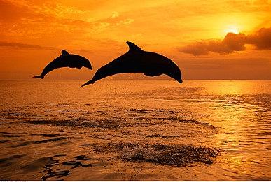 游戏创业0门槛？Y3编辑器游戏人爆改计划开启！提交Demo领万元扶持金