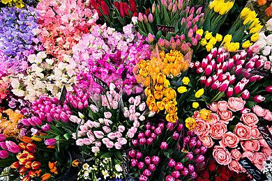 传PlayStation将于9月举行全新游戏发布会活动